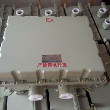 三防配电箱FXD-S防水防尘防腐配电箱厂家定制