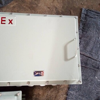 BXD51-4/6/8/10/12K防爆動(dòng)力配電箱