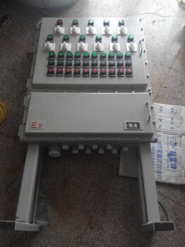 BXD51-4/6/8/10/12K防爆動(dòng)力配電箱