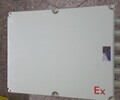 水泵控制防爆配电箱FXD-S防水防尘防腐配电箱定制生产厂家