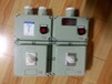 FXD-S防水防尘防腐配电箱双电源自动切换控制箱定制生产厂家