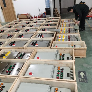 LBZ機旁啟停防爆操作柱立式