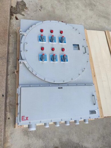 BXK-T化工厂现场电机防爆控制箱BXX51防爆检修箱