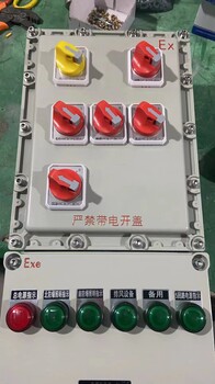 BXD51-碳钢防爆配电箱生产厂家辽飞防爆