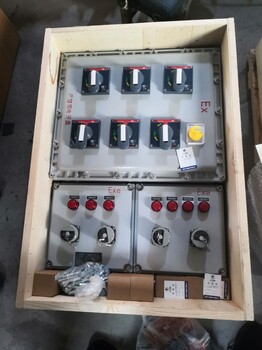 BXM59防爆照明配電箱BXK污水電機防爆隔離控制箱非標定做遼飛防爆