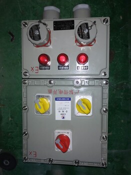 粉塵防爆照明動(dòng)力配電箱BXK-T防爆控制按鈕箱箱非標(biāo)定做遼飛防爆