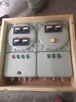 BXQ51-鋼板箱防爆ExdIIBT4/粉塵防爆照明配電箱生產(chǎn)廠家遼飛防爆