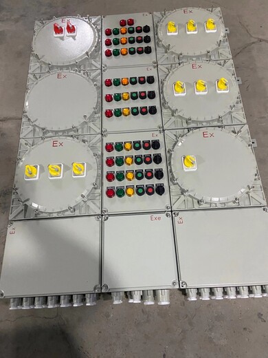 BXD51-双开门防爆照明动力配电箱生产厂家辽飞防爆