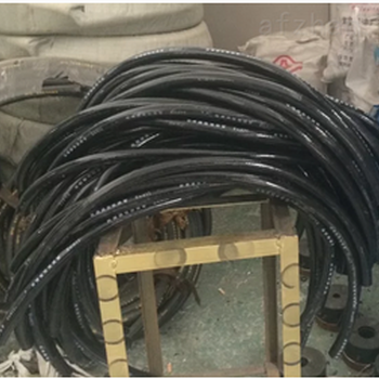 遼飛防爆FZC-GADBK不銹鋼工程塑料三防按鈕箱實體廠家