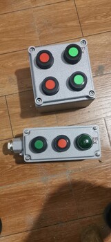 黃色防爆帶燈按鈕