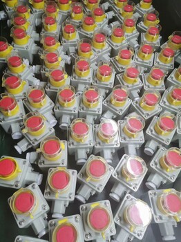BA8097防爆信號(hào)燈