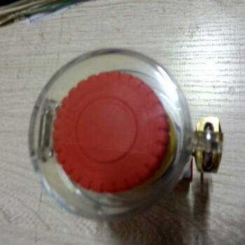 黃色防爆帶燈按鈕