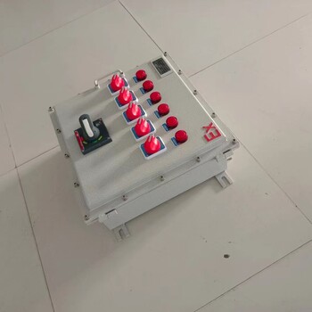 BXMD防爆動(dòng)力電磁啟動(dòng)配電箱非標(biāo)定做遼飛防爆