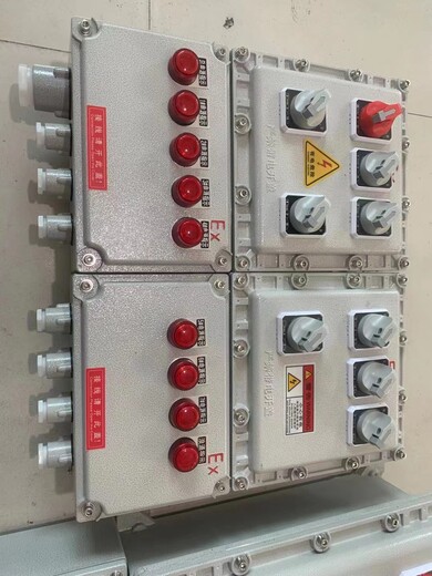 BXD51-非标定做防爆控制柜生产厂家辽飞防爆