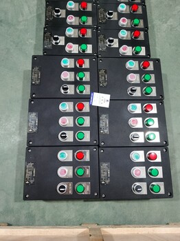 粉塵防爆照明動(dòng)力配電箱BXK-T防爆控制按鈕箱箱非標(biāo)定做遼飛防爆
