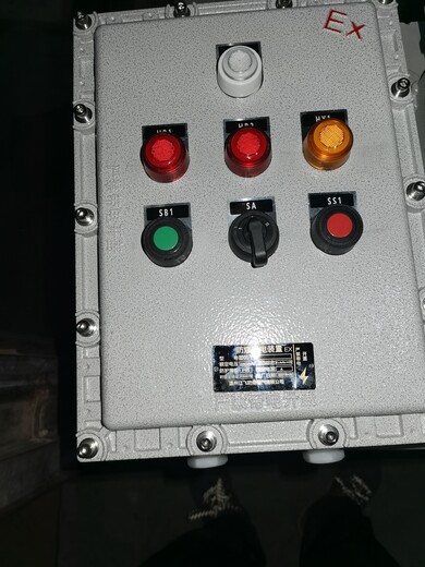 BXK-T防爆继电器控制箱钢板焊接防爆箱