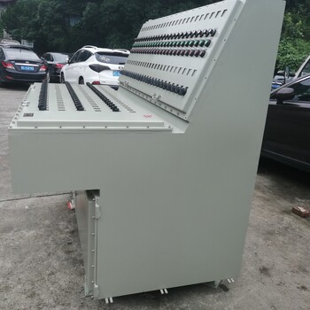 BXM59防爆照明配電箱BXK污水電機防爆隔離控制箱非標定做遼飛防爆