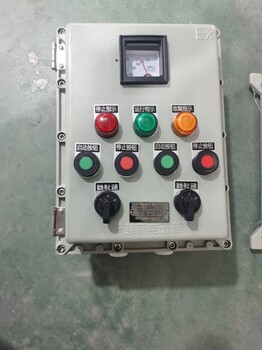 BZC53-A3D2K1B1洗煤廠立式防爆操作柱