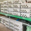 鋼板焊接100A防爆動(dòng)力檢修箱BXX51非標定做遼飛防爆