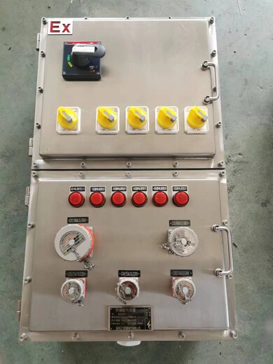 双门铸铝防爆配电箱BXMD-10K125A防爆配电箱