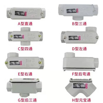 NPT不銹鋼防爆撓性管BNG遼飛防爆