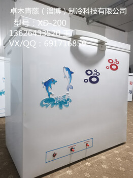燃气冰箱生产批发侧开门大容量卧式冰柜冷藏柜冷藏箱XD-200