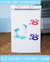 出口中東燃氣冰箱液化氣冰箱小體積房車冰箱