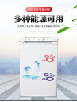 吸收式燃氣冰箱煤氣電多能源冰箱外貿出口中東家用冰箱XC-98G