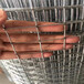 不锈钢201304材质方孔电焊网筛分过滤网1米宽20米一卷