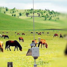 TWS-WS5智慧牧草监测物联网大数据平台