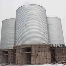 大型糧食筒倉豆類麥類糧食風干倉聯豐定做大型糧食鋼板倉圖片