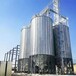 玉米储存设备装配式大米钢板仓玉米储存仓