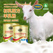 羊养健乐初乳配方羊乳粉120克面向全国招代理商
