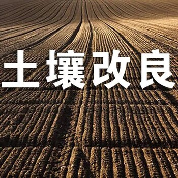 四川綿陽(yáng)農(nóng)田板結(jié)土壤改良劑