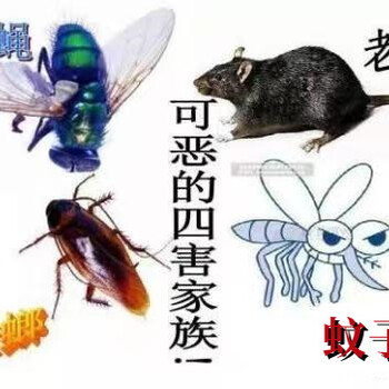 上海灭鼠杀虫灭蟑螂除老鼠除白蚁找井湾虫控
