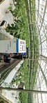 台州文洛式玻璃智能温室建造温室大棚骨架加工安装调试