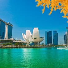 新加坡公司都需要审计吗？