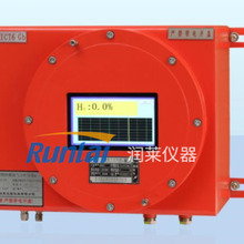 RL-E200型防爆氢气分析仪