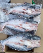 越南进口冷冻鱼怎么进口进口报关行进口清关代理