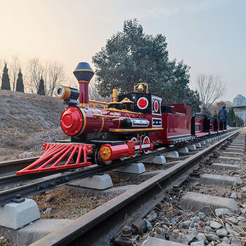 自称一道亮丽风景线_跨骑式网红轨道观光小火车_景区代步工具