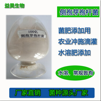 100億側(cè)孢芽孢桿菌促根殺菌降解重金屬解氮