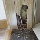 大嶺山鎮(zhèn)白蟻防治節(jié)假日上門殺滅白蟻門框白蟻治理倉(cāng)庫(kù)除白蟻