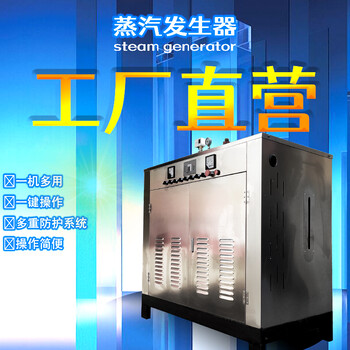 0.1T-2T生物質(zhì)顆粒蒸汽發(fā)生器3分鐘出汽#蒸汽發(fā)生器廠家
