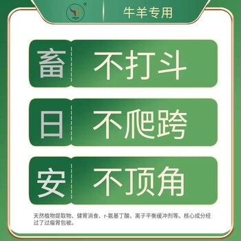 畜日安牛不打架、不爬跨、不顶角减少牛羊应急反应