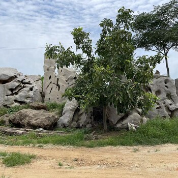 塔城假山,附近哪里有做假山的現場制作