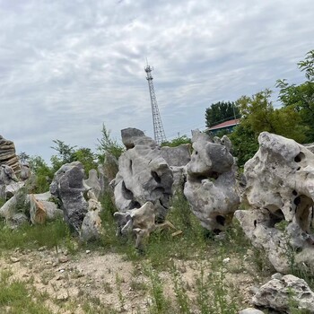 南阳水泥假山假树景观、南阳假山园林设计制作厂家、南阳假山什么价格