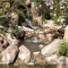 武夷山假山,彩灯音乐喷泉设计精美