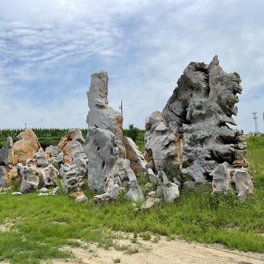 德州陵城区假山,假山设计设计制作