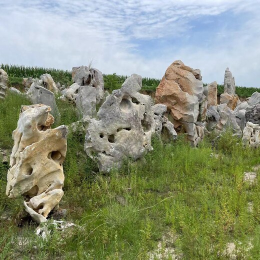 定西假山,水泥假山批发价格现场制作