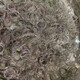 發(fā)發(fā)助手